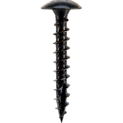 VIS PENTURE TX30 6x20mm NOIR (boite 200 pcs)