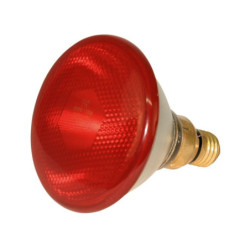 LAMPE KERBL PAR 38 175W ROUGE