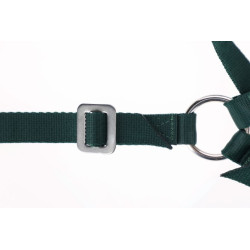 HARNAIS MARQUEUR NYLON POUR BÉLIER EMBALLÉ