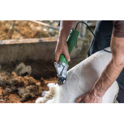 TONDEUSE CONSTANTA C4 OVINS 230V/400 W, 13/4 DENTS