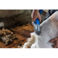 TONDEUSE AESCULAP ECONOM CL OVINS SUR ACCU