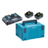 Pack de 2 batteries 18V 5.0 AH + Chargeur