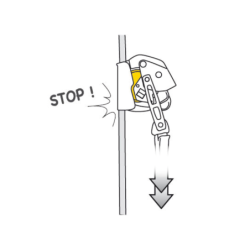Antichute mobile Asap Lock 2014