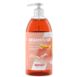 SAVON POUSSE MOUSSE AGRUME 500 ML + POMPE