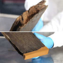 MASTIC BI-COMPOSANTS SOUPLE SINTOBOIS CHENE (boite de 190 gr)