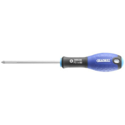 TOURNEVIS POZIDRIV PZ1x100mm EXPERT