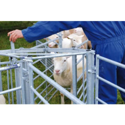 Porte de tri double directions pour ovins