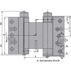 CHARNIERES DOUBLE ACTION 29 LX COMPACTE ACIER ARGENT (LA PAIRE)