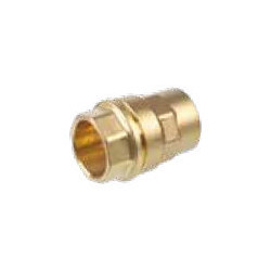 RACCORD FEMELLE 50MMX1.1-2 116