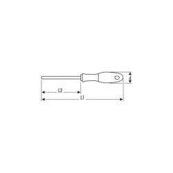 TOURNEVIS POZIDRIV PZ2x125mm EXPERT