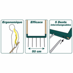 BIOGRIF 4 DENTS ASSEMBLÉE MANCHES BOIS