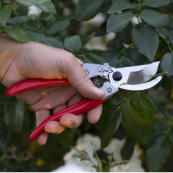 SECATEUR ARSVS-8XZ, S, 20 mm rouge/gris